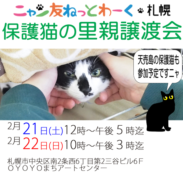 開催終了 保護猫の里親譲渡会 札幌イベント情報マガジン サツイベ Event Id