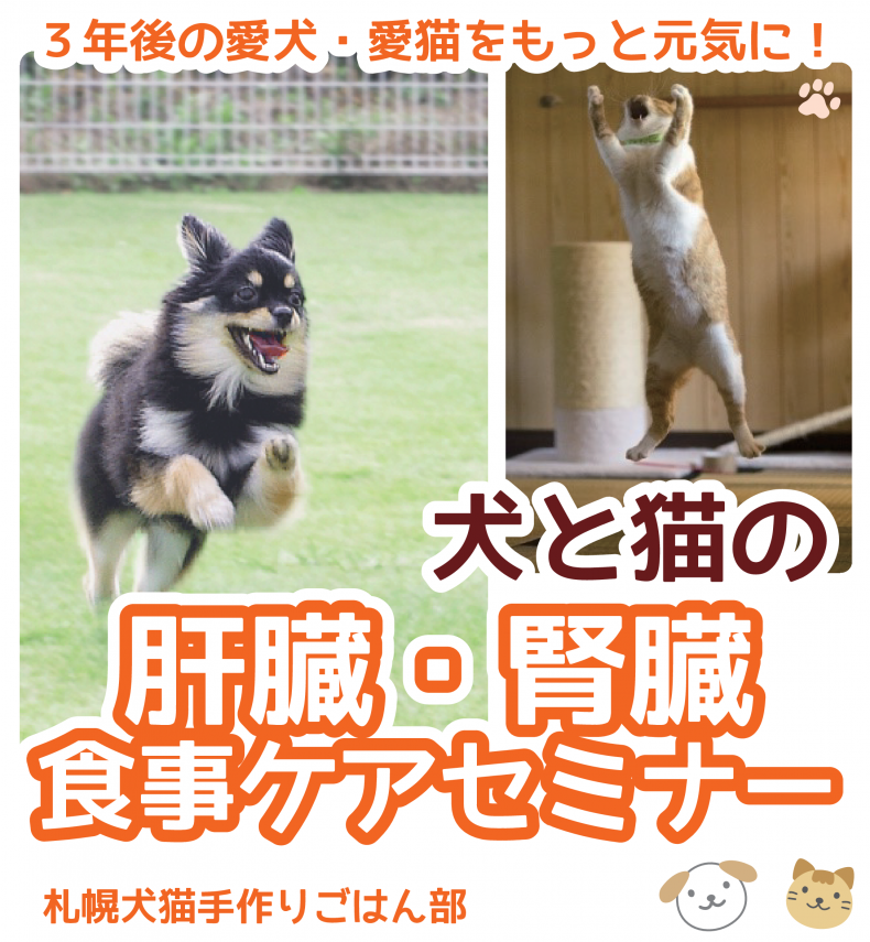 開催終了 犬 猫の肝臓腎臓ケアセミナー 札幌イベント情報マガジン サツイベ Event Id
