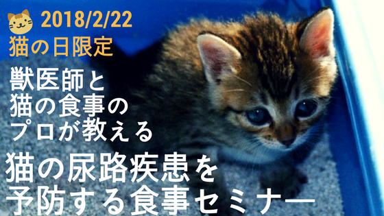 開催終了】自然療法獣医師と猫ごはんのプロが教える猫の尿路疾患を