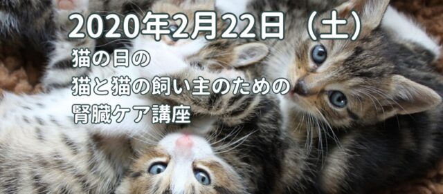 イベント名：猫の日の猫と猫の飼い主のための腎臓ケア講座