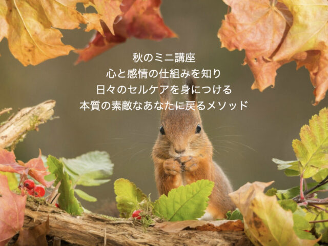 イベント名：心と感情の仕組み ミニ講座