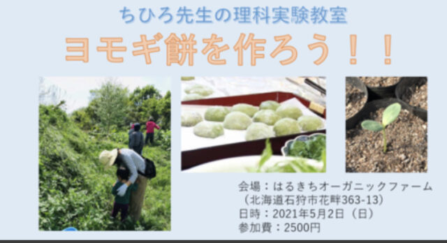 イベント名：畑で実験 ヨモギ餅を作ろう！