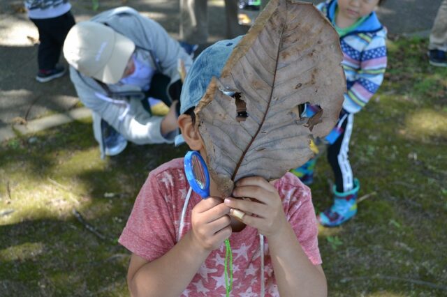 イベント名：森のようちえん秋～宿泊編～
