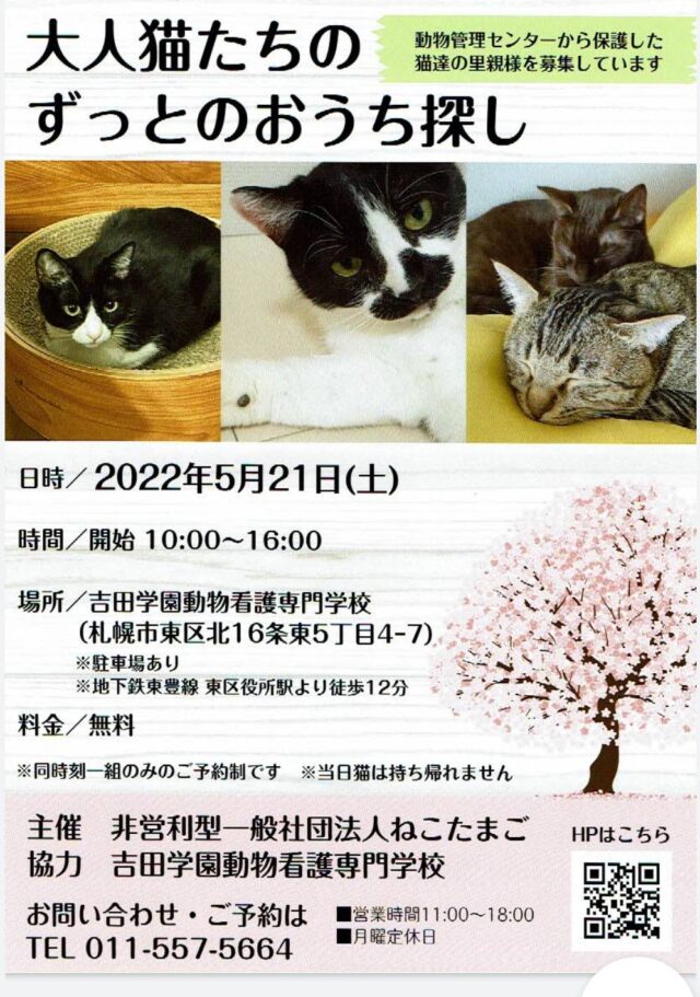 イベント名：保護猫譲渡会