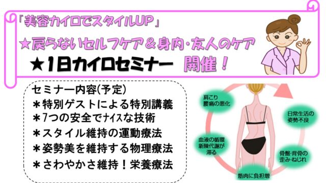 イベント名：カイロ１日セミナー