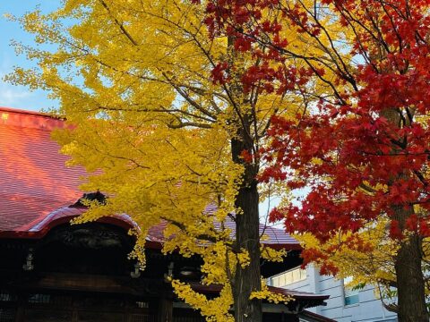 イベント名：さっぽろ俳句倶楽部～紅葉の寺社巡り吟行会
