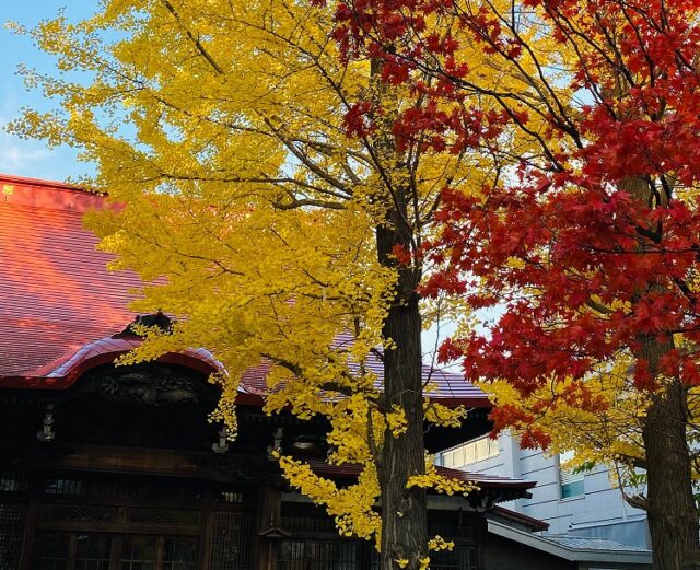 イベント名：さっぽろ俳句倶楽部～紅葉の寺社巡り吟行会