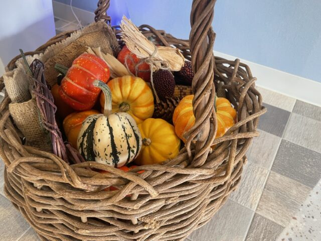 イベント名：MEDELのハロウィンパーティー