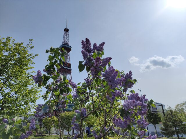 イベント名：さっぽろ俳句倶楽部～ライラック吟行会