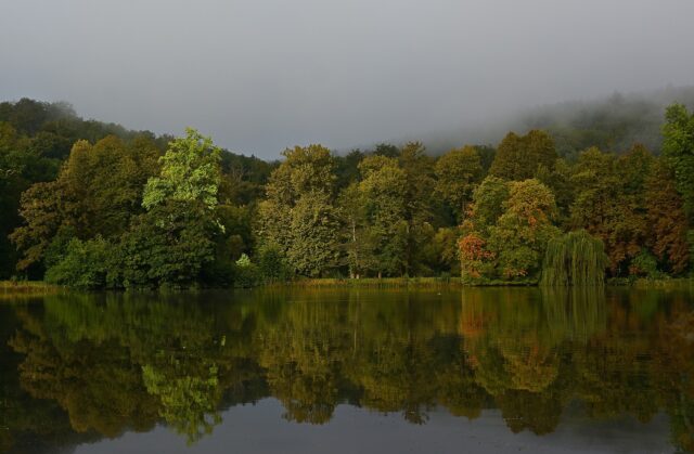 イベント名：ジャータカ物語ミニ朗読会とミーティング