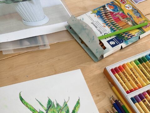 イベント名：ぬりえ教室  90分間