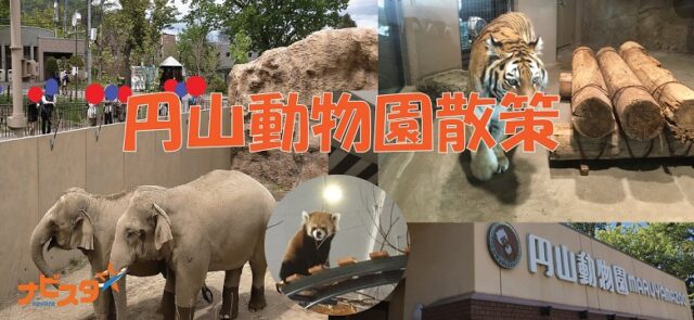 イベント名：35～52歳　円山動物園出会い散策