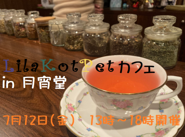 イベント名：LilaKotPet(りらこっぺ)カフェ in 月宵堂