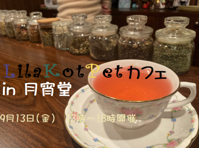 イベント名：LilaKotPet(りらこっぺ)カフェ in 月宵堂