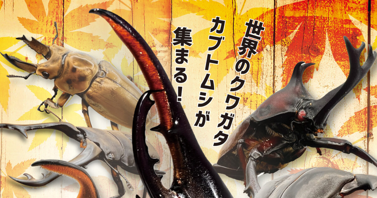 札幌クワカブフェスティバル 開催終了】北海道最大！クワガタカブトムシの販売イベント「EZO