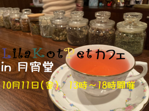 イベント名：LilaKotPet(りらこっぺ)カフェ in 月宵堂