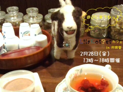 イベント名：LilaKotPet(りらこっぺ)カフェ in 月宵堂