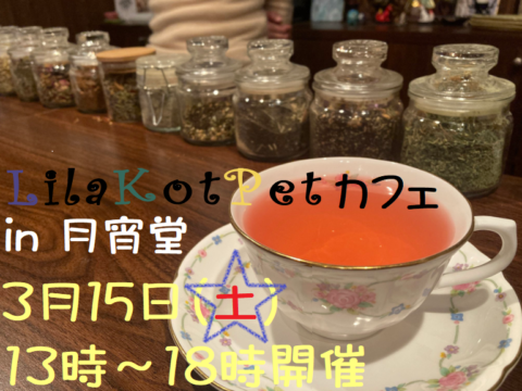 イベント名：LilaKotPet(りらこっぺ)カフェ in 月宵堂