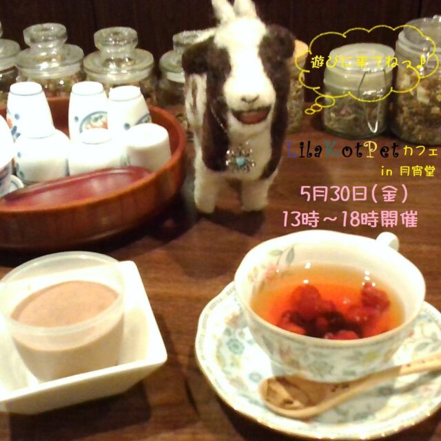イベント名：LilaKotPet(りらこっぺ)カフェ in 月宵堂