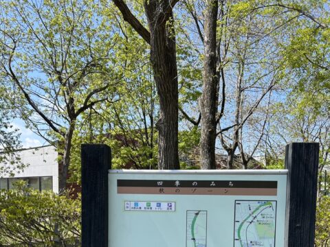 イベント名：はつらつ！四季のみちウォーキング