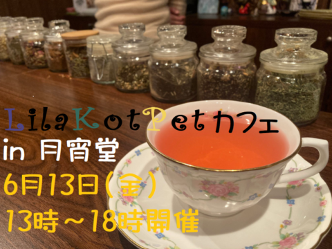イベント名：LilaKotPet(りらこっぺ)カフェ in 月宵堂