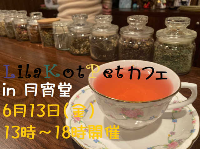 イベント名：LilaKotPet(りらこっぺ)カフェ in 月宵堂