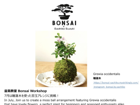 イベント名：盆栽教室  Bonsai Workshop
