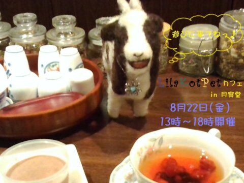 イベント名：LilaKotPet(りらこっぺ)カフェ in 月宵堂