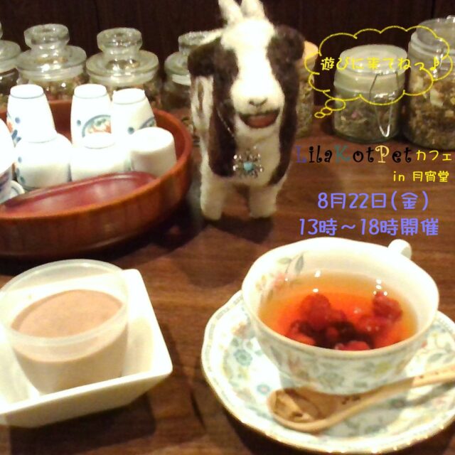 イベント名:LilaKotPet(りらこっぺ)カフェ in 月宵堂