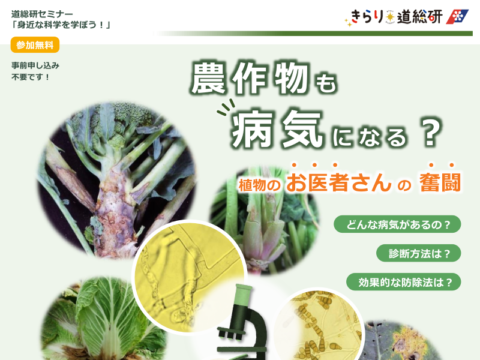 イベント名:【道総研セミナー】農作物も病気になる?~植物のお医者さんの奮闘~