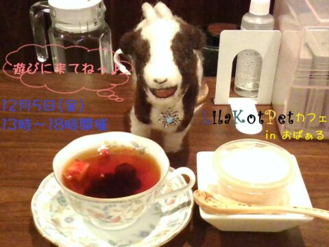 イベント名：LilaKotPet(りらこっぺ)カフェ in おぱぁる