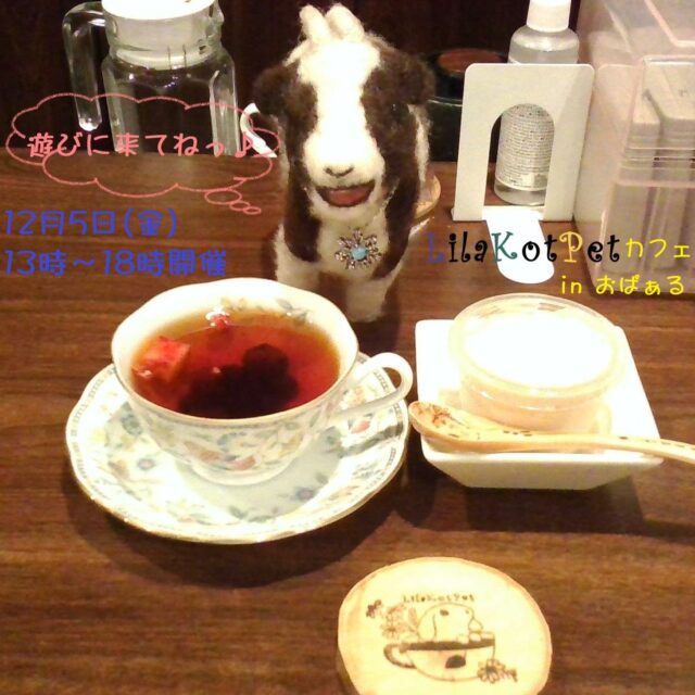 イベント名：LilaKotPet(りらこっぺ)カフェ in おぱぁる