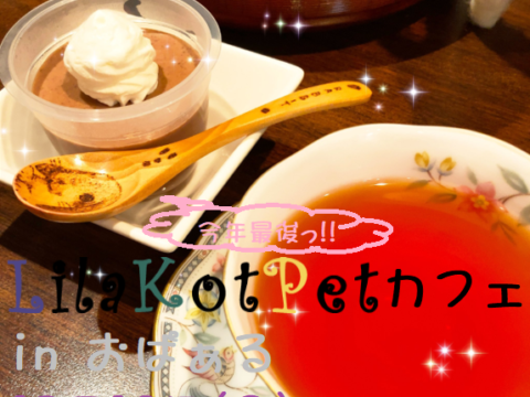 イベント名：LilaKotPet(りらこっぺ)カフェ in おぱぁる