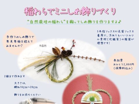 イベント名：稲わらでミニしめ飾りづくり