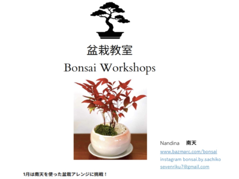 イベント名：盆栽教室  Bonsai Workshop