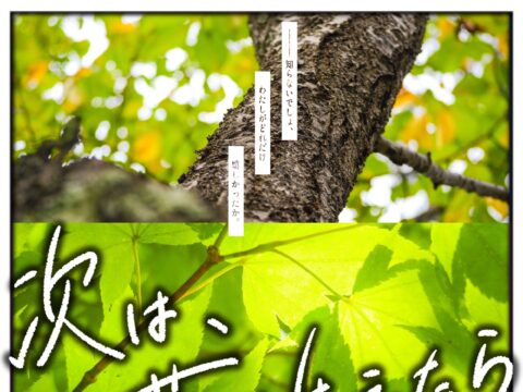 イベント名：次は、苔が生えたら
