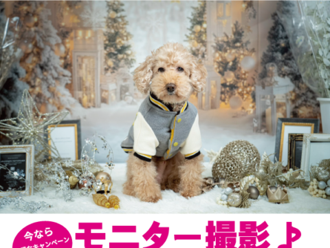 イベント名：ペットの撮影♪モニターキャンペーン開催中‼　～あなたのペットがモデルに？広告塔になるかも？！～