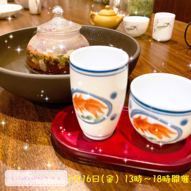 イベント名：LilaKotPet(りらこっぺ)カフェ in おぱぁる