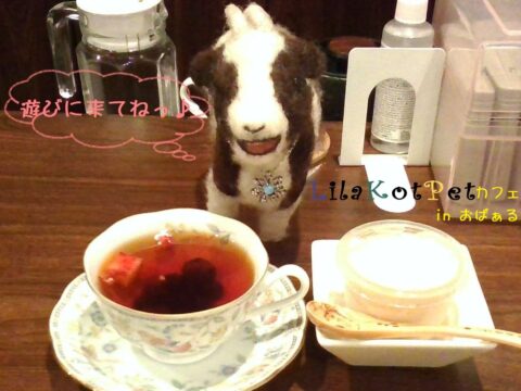 イベント名：LilaKotPet(りらこっぺ)カフェ in おぱぁる