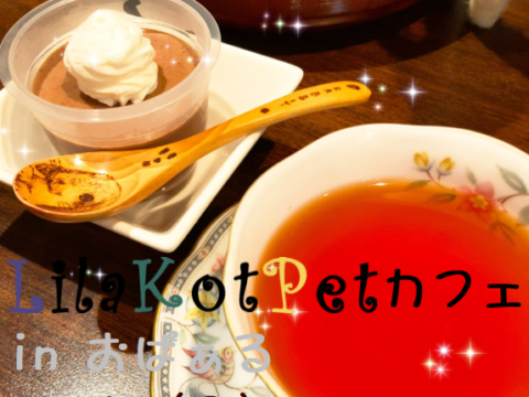 イベント名：LilaKotPet(りらこっぺ)カフェ in おぱぁる