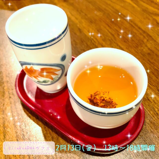 イベント名：LilaKotPet(りらこっぺ)カフェ in おぱぁる