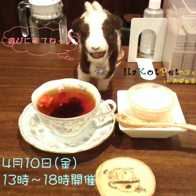 イベント名：LilaKotPet(りらこっぺ)カフェ in おぱぁる