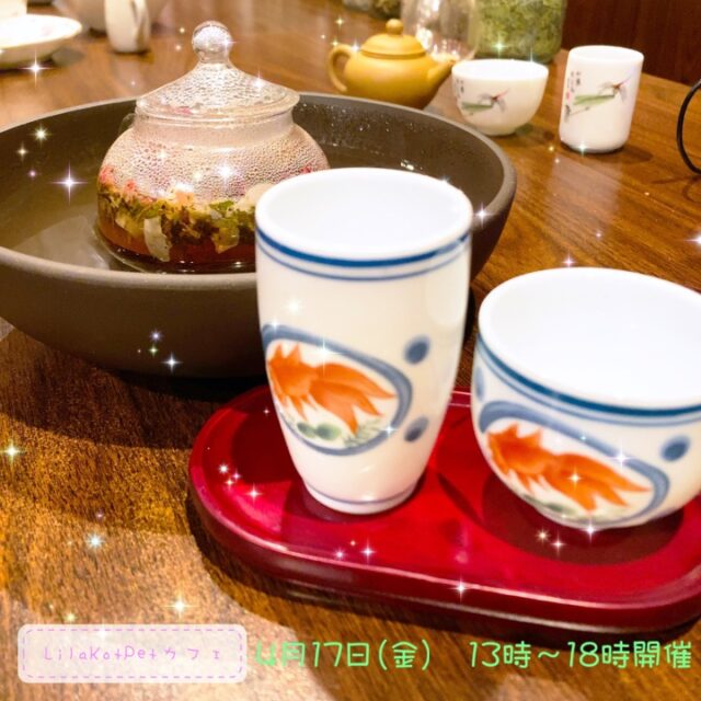 イベント名：LilaKotPet(りらこっぺ)カフェ in おぱぁる