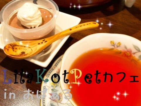 イベント名：LilaKotPet(りらこっぺ)カフェ in おぱぁる