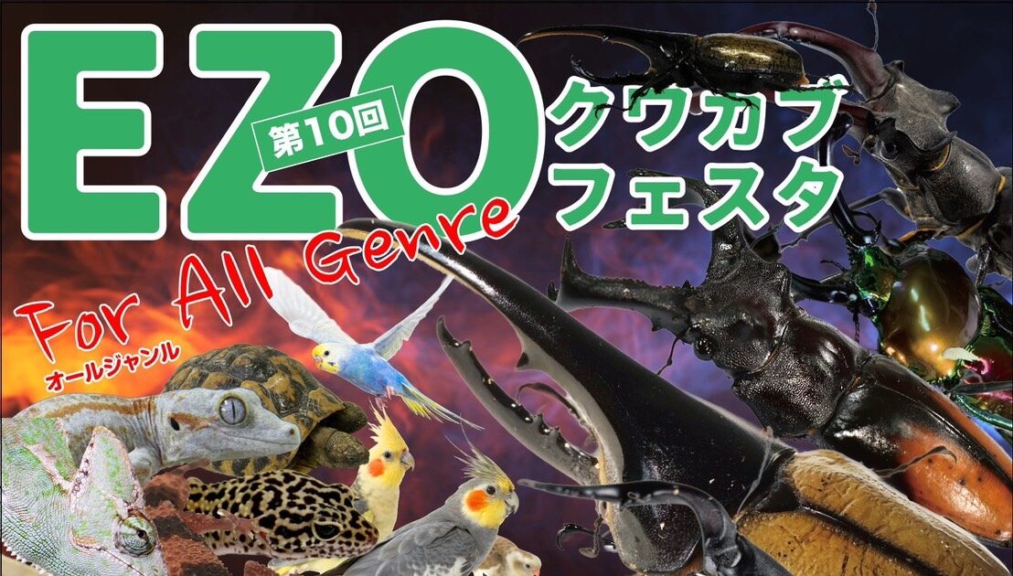 開催終了】EZOクワカブフェスタ for オールジャンル｜札幌イベント情報
