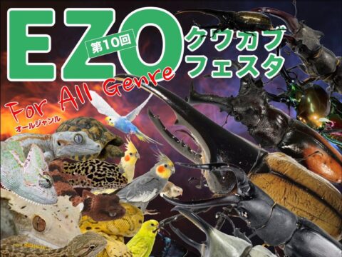 イベント名：EZOクワカブフェスタ for オールジャンル