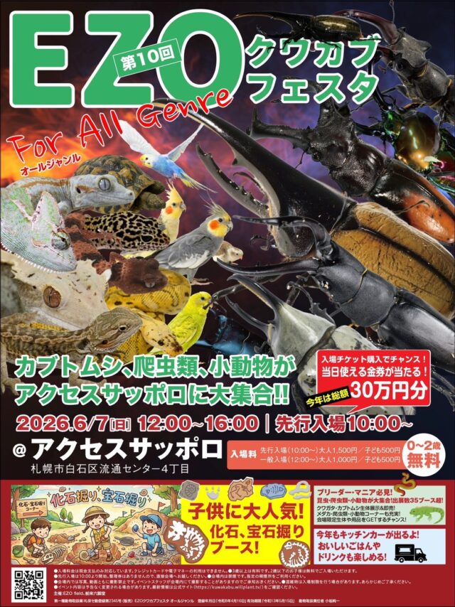 イベント名：EZOクワカブフェスタ for オールジャンル