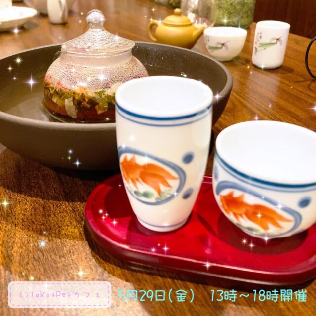 イベント名：LilaKotPet(りらこっぺ)カフェ in おぱぁる