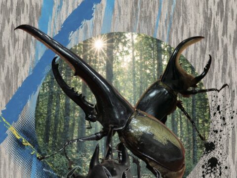 イベント名：North thriving 北海道最大昆虫イベント